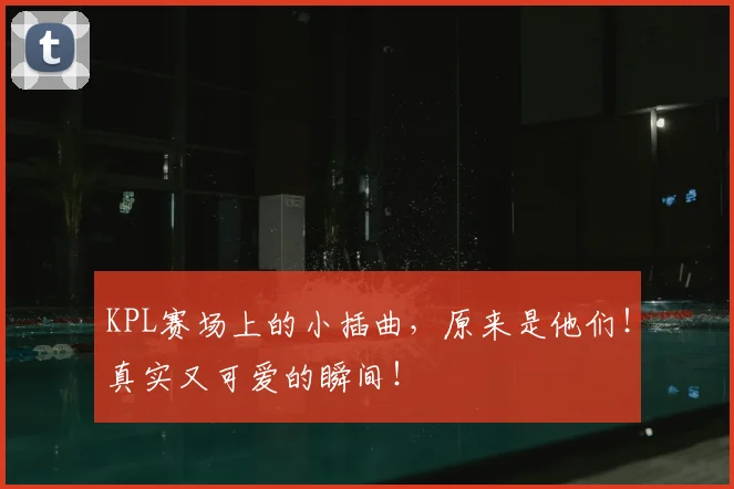 KPL赛场上的小插曲,原来是他们!真实又可爱的瞬间!